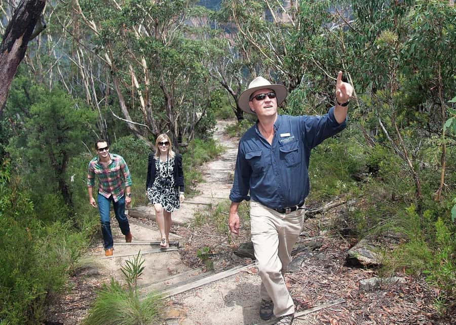 From Sydney: Blue Mountains Bushwalks & Featherdale Tour - Featherdale Wildlife Park: close-up Australian animals