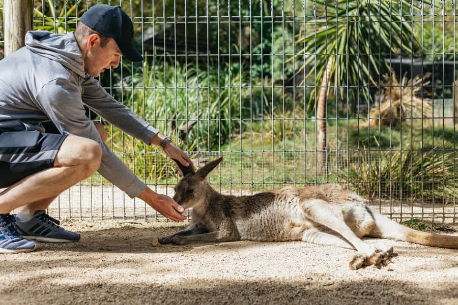 From Sydney: Blue Mountains Full-Day Trip - Leura Village: a practical lunch stop with a little character