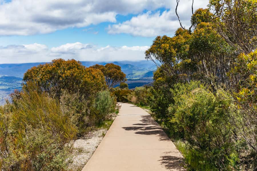 From Sydney: Blue Mountains Full-Day Trip - Transport, guides, and the pace of the day