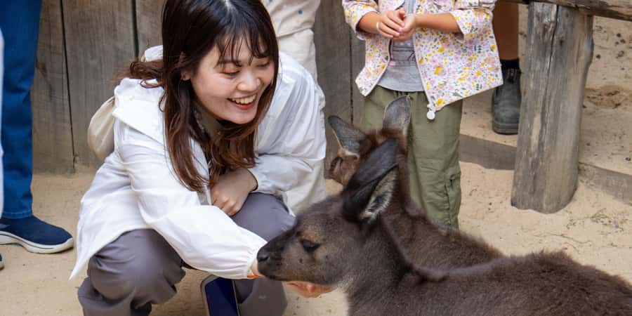 From Sydney: Blue Mountains, Scenic Railway, & Sydney Zoo - Who will enjoy this day most