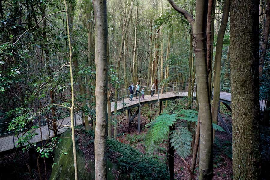 From Sydney: Blue Mountains, Scenic World, Zoo, & Ferry Ride - Key points to know before booking