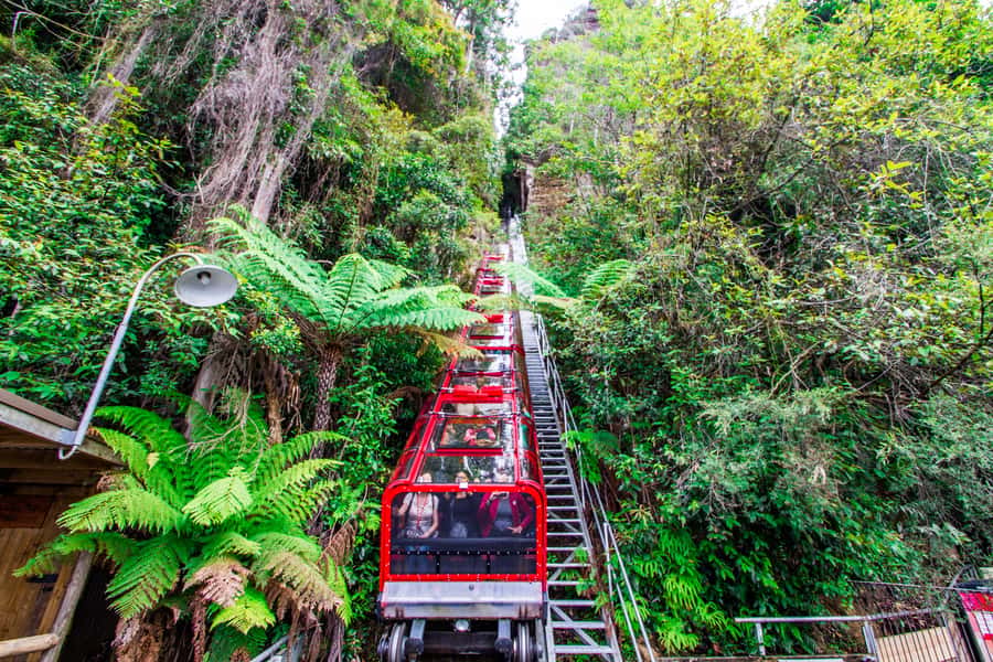 From Sydney: Blue Mountains, Scenic World, Zoo, & Ferry Ride - A coffee stop before the mountain views