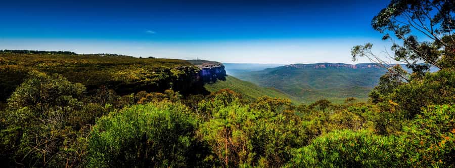 From Sydney: Blue Mountains Small-Group Tour Picnic & Hike - Key points worth knowing