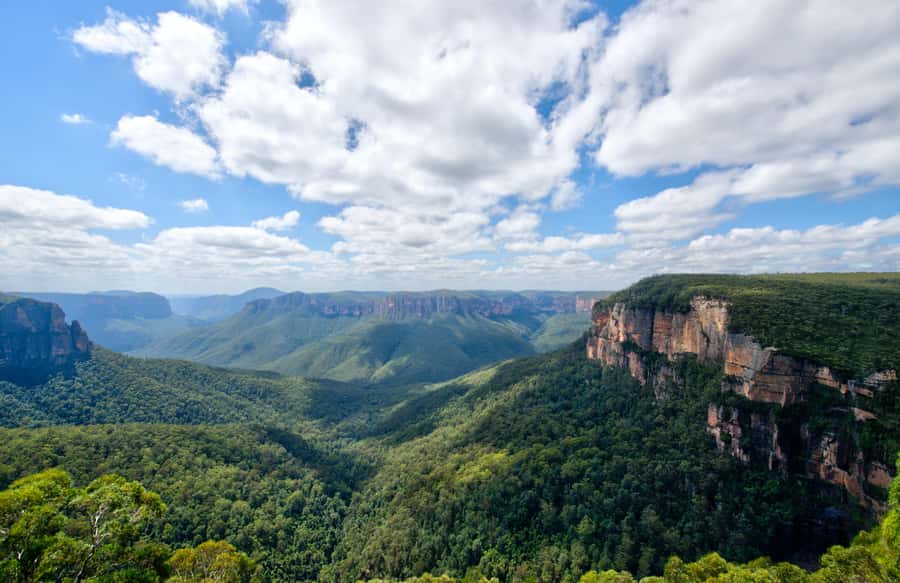 From Sydney: Blue Mountains, Sydney Zoo & Walking Tour - The long return through Homebush Bay