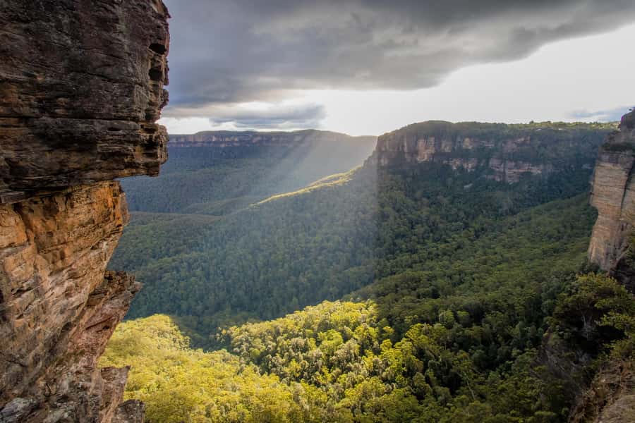 From Sydney: Blue Mountains, Sydney Zoo & Walking Tour - Who will enjoy this Blue Mountains day
