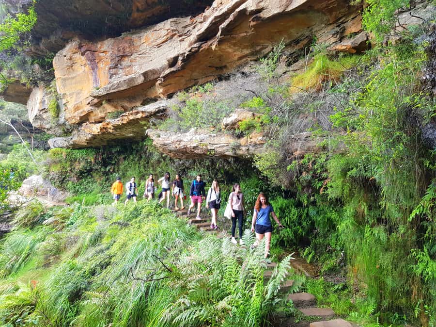 From Sydney: Blue Mountains Tour with Waterfall Walk & Lunch - Key points to know before booking