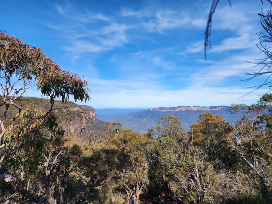 From Sydney: Blue Mountains Tour with Waterfall Walk & Lunch - Why the Wentworth Falls walk matters