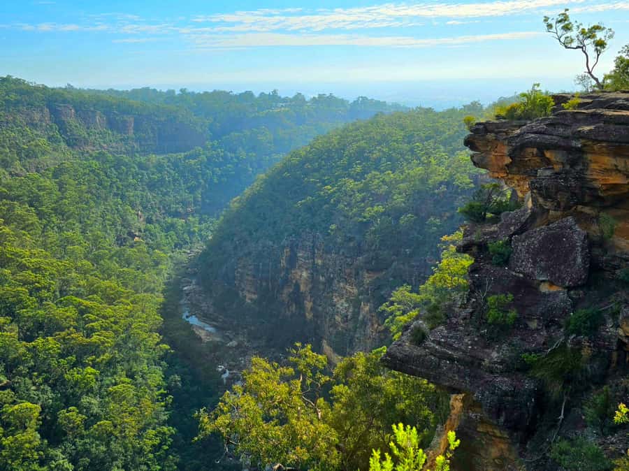 From Sydney: Blue Mountains Tour with Waterfall Walk & Lunch - Lunch, Tim Tams, and what you need to carry