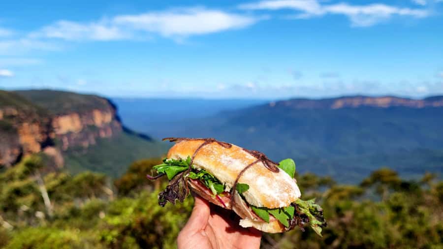 From Sydney: Blue Mountains Tour with Waterfall Walk & Lunch - How good is the value at $85?