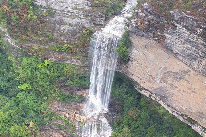 From Sydney: Blue Mountains with Zoo, Koala Photo & Scenic World - Lunch and a short wander through Leura