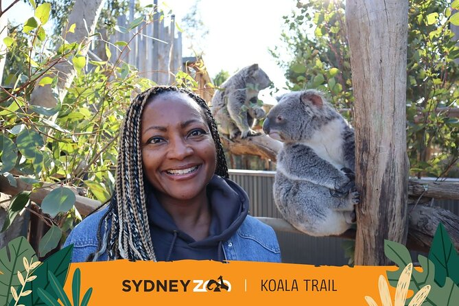 From Sydney: Blue Mountains with Zoo, Koala Photo & Scenic World - Gordon Falls and the first mountain views