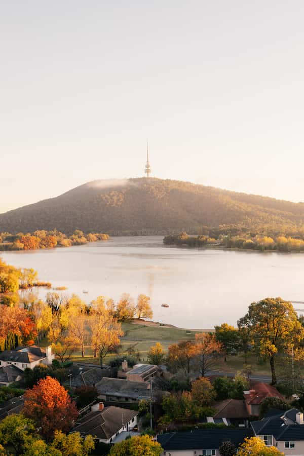 From Sydney: Canberra Floriade Festival Includes Lunch - Friendly guides make the fixed schedule work