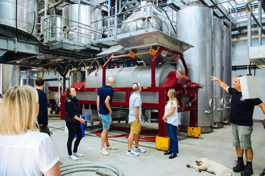 From Sydney: Full-Day Hunter Valley Tour w/ Tastings & Lunch - The Iron Gate production visit adds value