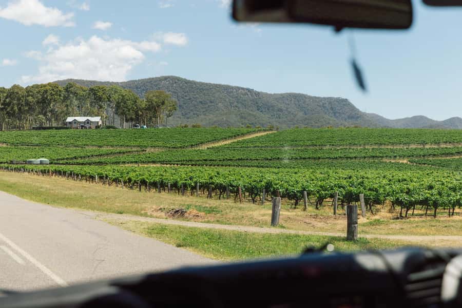 From Sydney: Full-Day Hunter Valley Wine Tour & Lunch - The long road north and the Wyong break