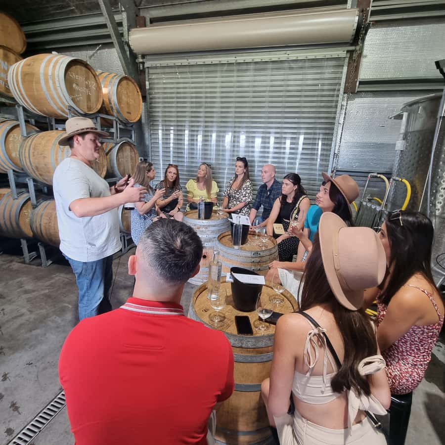 From Sydney: Hunter Valley Wine, Gin & Food Tastings Tour - First vineyard: a gentle introduction to Hunter Valley wine