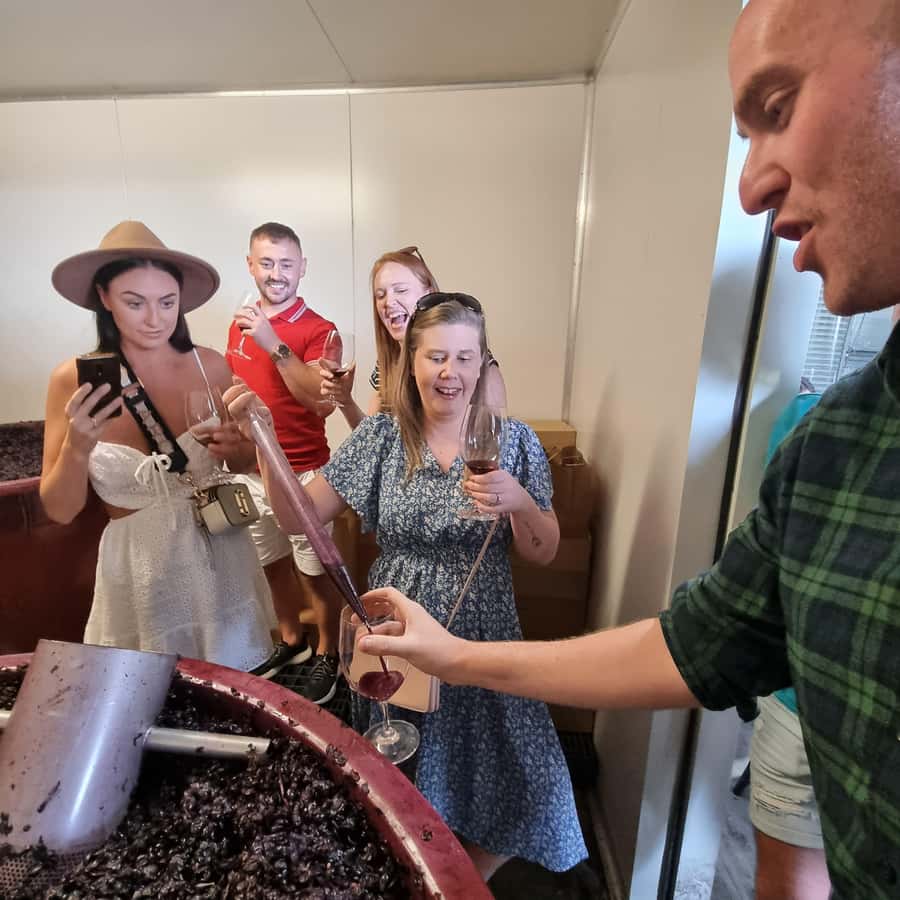 From Sydney: Hunter Valley Wine, Gin & Food Tastings Tour - Cheese, chocolate, and the best part of the tasting format