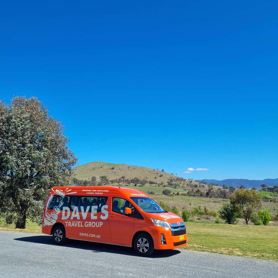 From Sydney: Hunter Valley Wine, Gin & Food Tastings Tour - The long ride home and the chance of kangaroos