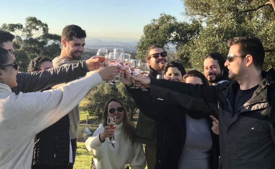 From Sydney: Hunter Valley Wine Tasting & Winery Picnic Tour - Starting with Semillon and Shiraz