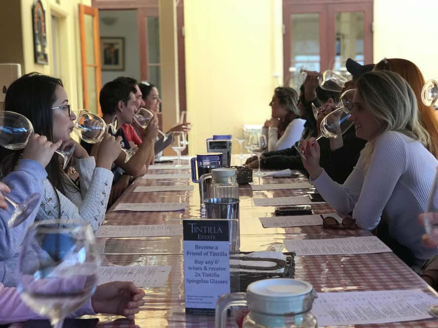 From Sydney: Hunter Valley Wine Tasting & Winery Picnic Tour - The guides and the small-group mood