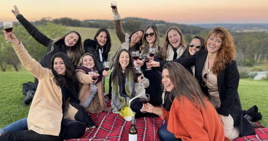From Sydney: Hunter Valley Wine Tasting & Winery Picnic Tour - What the day includes, and what it does not