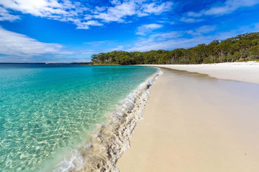 From Sydney: Jervis Bay Day Tour and Dolphin Watching Cruise - Hyams Beach and the famous white sand