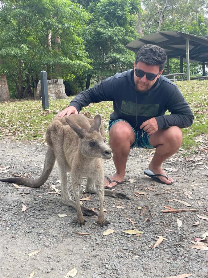 From Sydney: Jervis Bay Day Tour and Dolphin Watching Cruise - Cave Beach in Booderee National Park