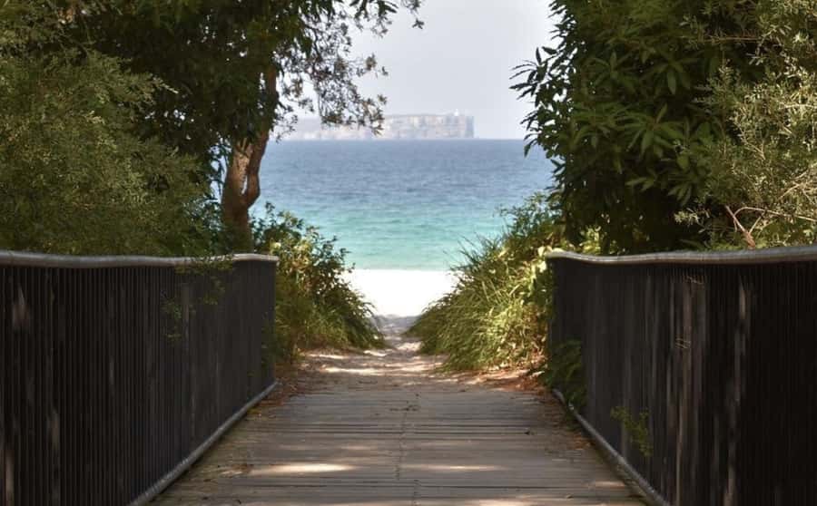 From Sydney: Jervis Bay Day Tour and Dolphin Watching Cruise - What the guides add to a long day