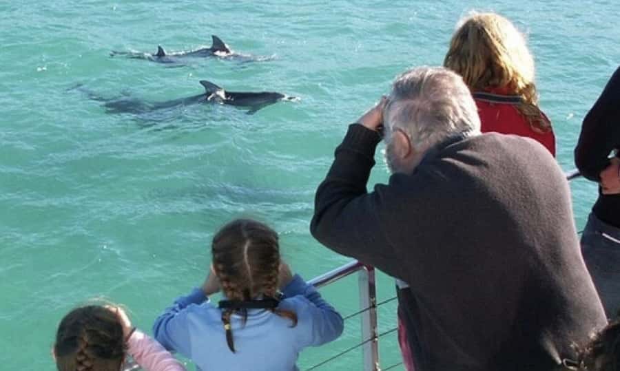From Sydney: Jervis Bay Day Tour and Dolphin Watching Cruise - The 7 am departure from Haymarket