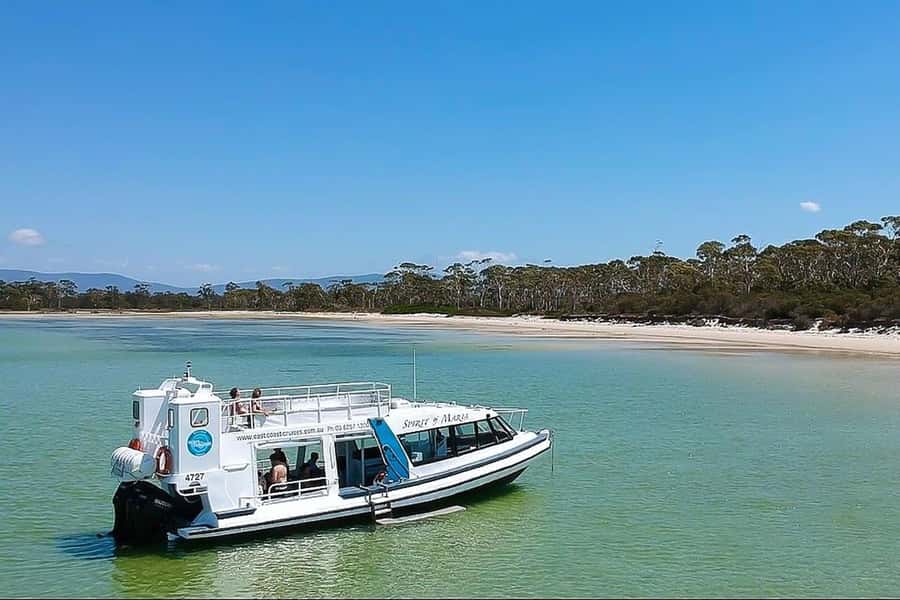 From Triabunna: Maria Island Cruise & Guided Walk with Lunch - Starting in Triabunna at 8:30 AM