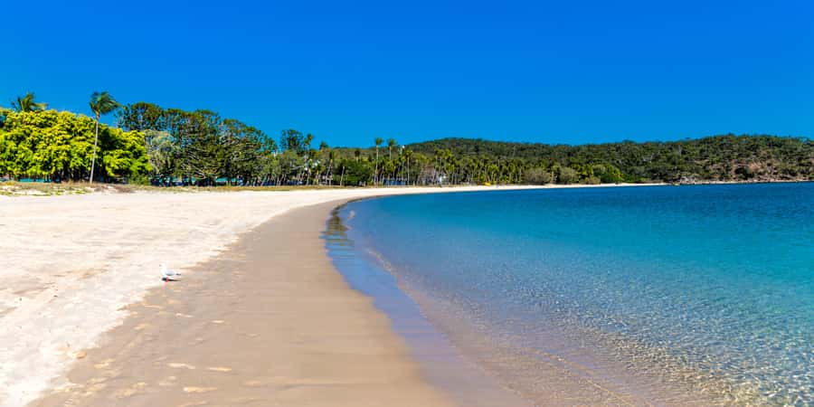 From Yeppoon: Great Keppel Island Snorkeling Hire with Lunch - Walking among 17 beaches
