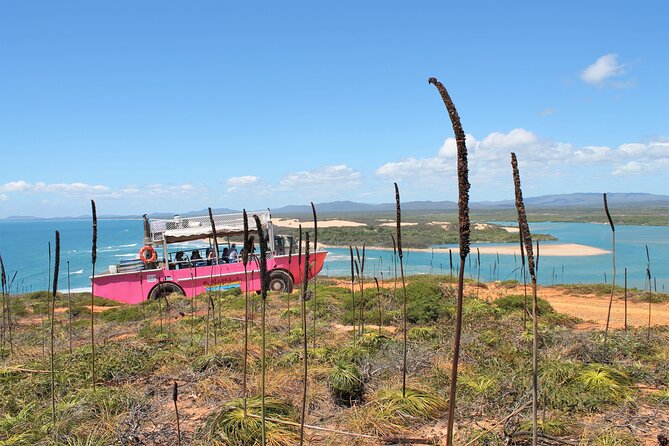 Full-Day 1770 Tour by LARC Amphibious Vehicle Including Sandboarding and Bustard Head Lightstation - What the $120.50 price really covers