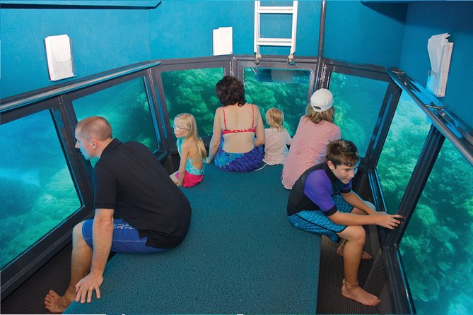 Full-Day Great Barrier Reef Pontoon with Snorkeling & Activities - Fast catamaran ride from Cairns