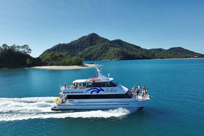 Full-Day Great Barrier Reef Sailing Trip from Cairns - Snorkeling over coral, clams, and fish