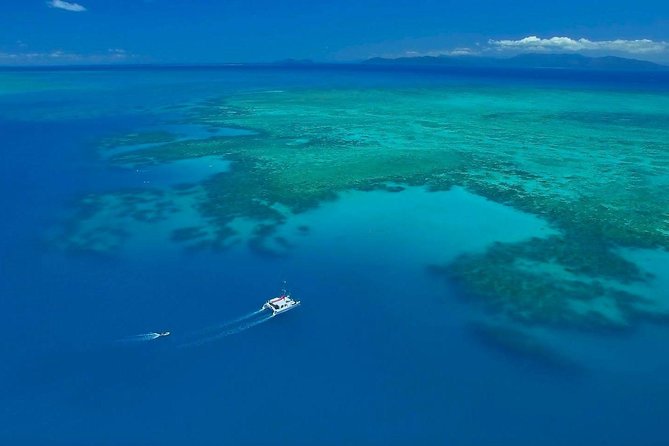 Full-Day Great Barrier Reef Sailing Trip from Cairns - Lunch, morning tea, and the food between swims