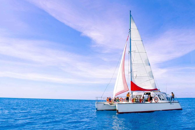 Full-Day Great Barrier Reef Sailing Trip from Cairns - Safety, exposure suits, and the age rule