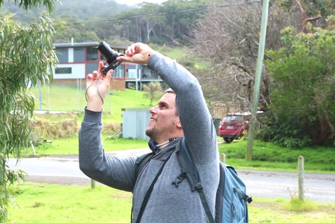 Full-Day Great Ocean Road and 12 Apostles Sunset Tour from Melbourne - A full day on the Great Ocean Road