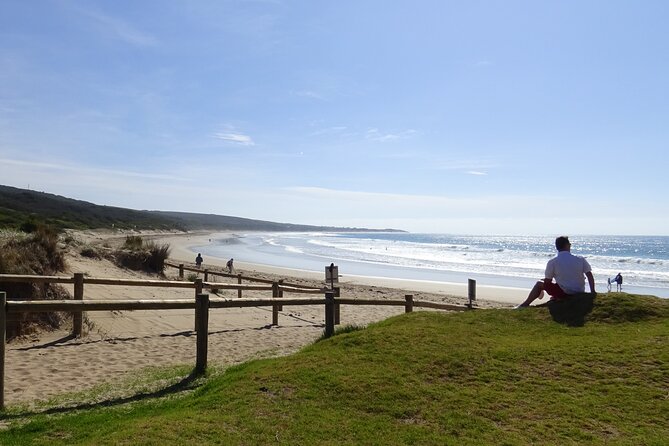 Full-Day Great Ocean Road and 12 Apostles Tour - Why this is such a long but worthwhile day