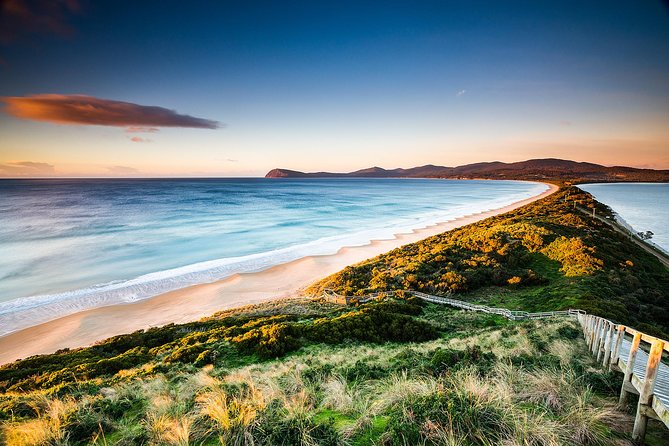 Full-Day Guided Bruny Island Tour from Hobart - Why this Bruny Island day works so well