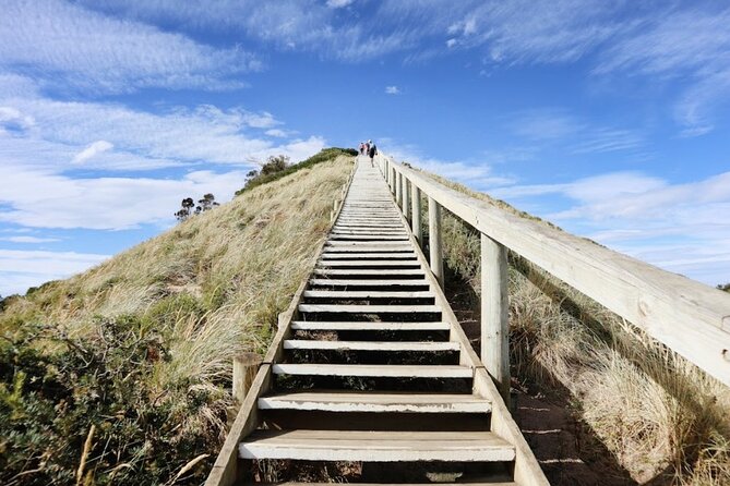 Full-Day Guided Bruny Island Tour from Hobart - A short rainforest walk at Mavista