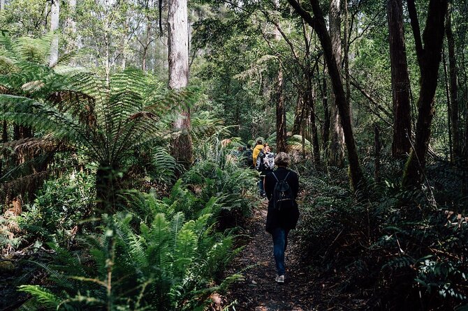 Full-Day Guided Bruny Island Tour from Hobart - Honey at The Honey Pot
