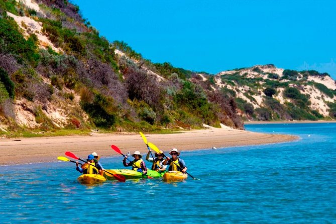 Full Day Kayaking Tour in Coorong National Park - Key things to know before you book