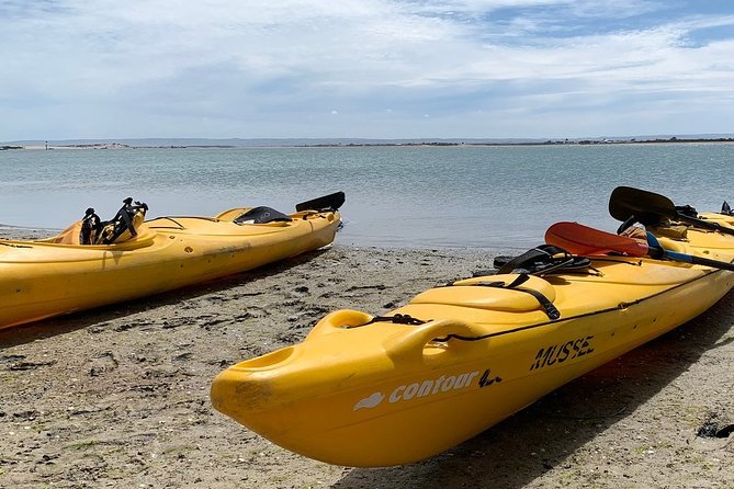 Full Day Kayaking Tour in Coorong National Park - Walking the Young Husband Peninsula to the Southern Ocean