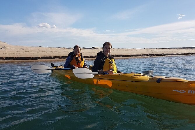 Full Day Kayaking Tour in Coorong National Park - Morning tea, lunch, and the practical value of an all-inclusive day