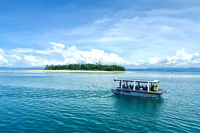 Full Day Low Isles Sailing & Snorkelling Cruise from Port Douglas - The EV Discovery glass-bottom boat