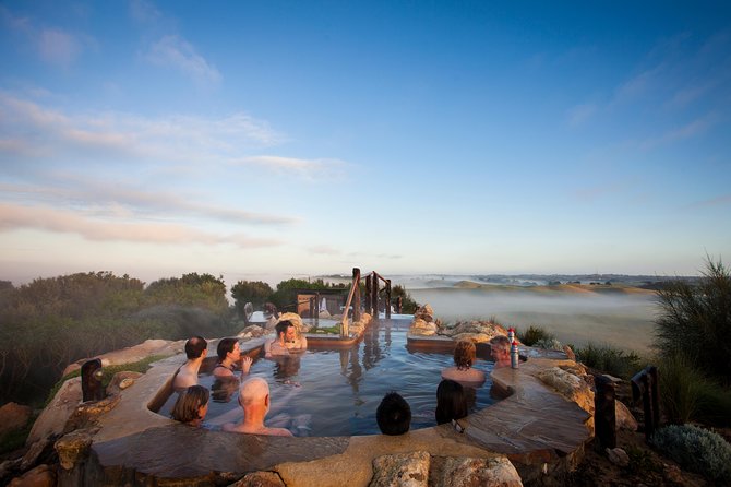 Full-Day Penguins and Wildlife Nature Experience from Melbourne - What to pack and how to plan meals
