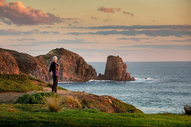 Full-Day Phillip Island Tour with Kangaroo, Koala and Penguin Parade - The Nobbies boardwalk is one of the day’s best views