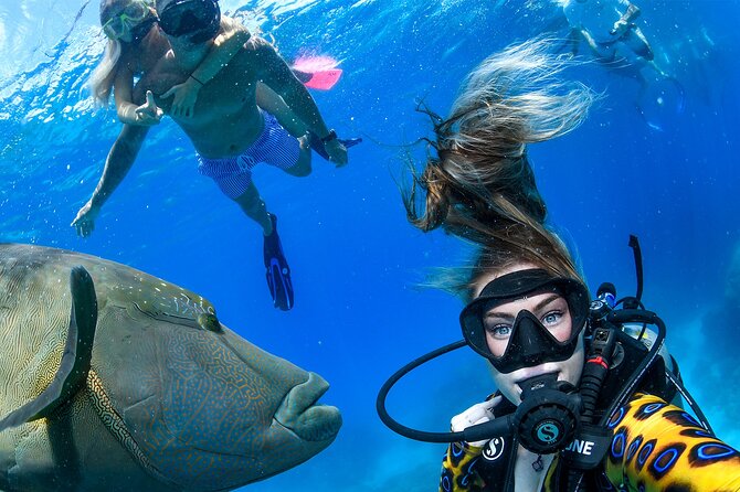 Full Day Reef Cruise and 10 Minute Helicopter Scenic Flight - Why this Cairns reef day is different