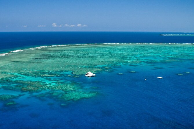 Full Day Reef Cruise and 10 Minute Helicopter Scenic Flight - Hastings Reef and the helicopter timetable