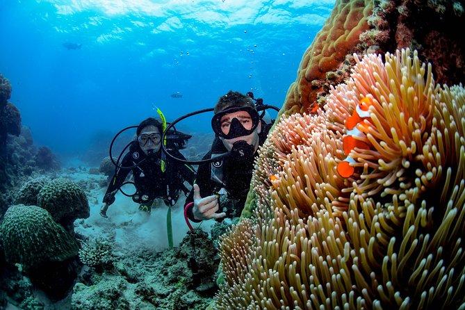 Full Day Reef Cruise and 10 Minute Helicopter Scenic Flight - The boat ride home and afternoon tea
