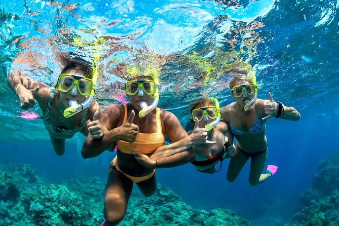Full Day Reef Cruise and 10 Minute Helicopter Scenic Flight - How much value do you get for $283.31?